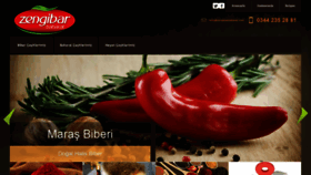 What Zengibarbaharat.com website looked like in 2019 (4 years ago)