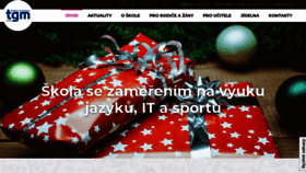 What Zstgm-ck.cz website looked like in 2020 (4 years ago)