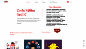 What Zorluegitim.com website looked like in 2020 (4 years ago)