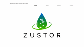 What Zustor.com website looked like in 2020 (4 years ago)
