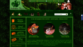 What Zoofaktor.pl website looked like in 2020 (4 years ago)