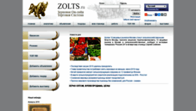 What Zolts.ru website looked like in 2020 (4 years ago)