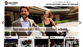 What Zorlucenter.com.tr website looked like in 2020 (4 years ago)