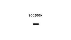 What Zoozoom.com website looked like in 2020 (4 years ago)