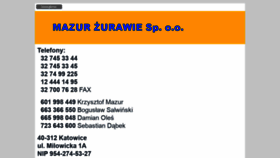 What Zurawiewiezowe.pl website looked like in 2020 (4 years ago)