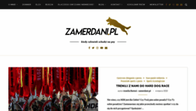 What Zamerdani.pl website looked like in 2020 (4 years ago)