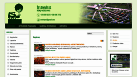 What Zeldynelis.lt website looked like in 2020 (4 years ago)
