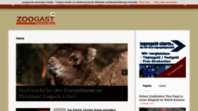 What Zoogast.de website looked like in 2020 (4 years ago)