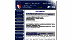 What Zkip.pl website looked like in 2020 (4 years ago)