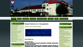 What Zskonopiska.pl website looked like in 2020 (4 years ago)