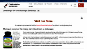 What Zamboanga.com website looked like in 2020 (3 years ago)