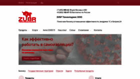 What Zubr-1c.ru website looked like in 2020 (3 years ago)