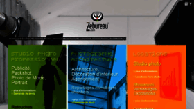 What Zebureau.com website looked like in 2020 (3 years ago)