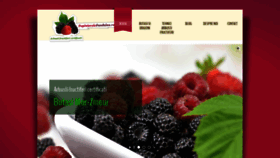 What Zmeura-mure.ro website looked like in 2020 (3 years ago)
