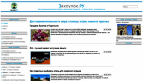 What Zakoylok.ru website looked like in 2020 (3 years ago)