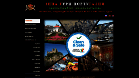 What Zinatours.com website looked like in 2020 (3 years ago)