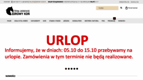What Zdrowy-kon.pl website looked like in 2020 (3 years ago)