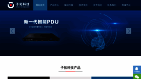 What Zituo-tech.com website looked like in 2020 (4 years ago)