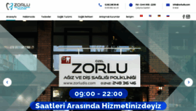 What Zorludis.com website looked like in 2020 (3 years ago)