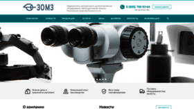 What Zomzplus.ru website looked like in 2020 (3 years ago)