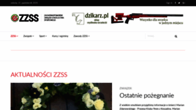 What Zzss.pl website looked like in 2020 (3 years ago)