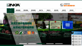 What Znkia.com website looked like in 2020 (3 years ago)