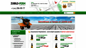 What Zubilo-perm.ru website looked like in 2020 (3 years ago)