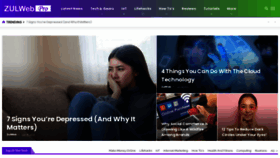 What Zulweb.com website looked like in 2021 (4 years ago)