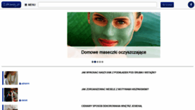 What Zakumaj.pl website looked like in 2021 (3 years ago)