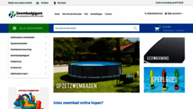 What Zwembadgigant.nl website looked like in 2021 (3 years ago)
