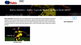 What Zevkli.org website looked like in 2021 (2 years ago)