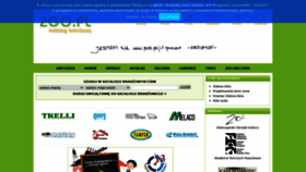 What Zgo.pl website looked like in 2021 (2 years ago)