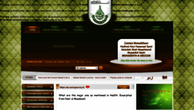 What Ziaislamic.com website looked like in 2021 (2 years ago)