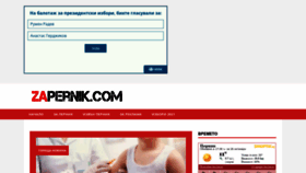 What Zapernik.com website looked like in 2021 (2 years ago)