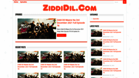 What Ziddidil.com website looked like in 2021 (2 years ago)