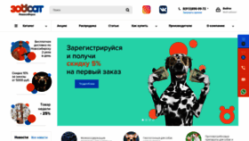 What Zoosat.ru website looked like in 2022 (2 years ago)