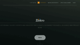 What Zintro.com website looked like in 2022 (2 years ago)