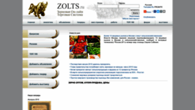 What Zolts.ru website looked like in 2022 (1 year ago)