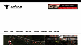 What Zubran.cz website looked like in 2022 (1 year ago)