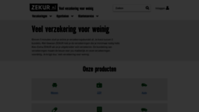 What Zekur.nl website looked like in 2022 (1 year ago)