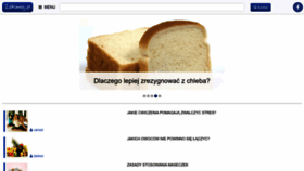 What Zakumaj.pl website looked like in 2022 (1 year ago)