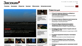 What Zasekin.ru website looked like in 2022 (1 year ago)