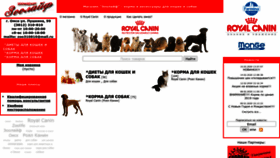 What Zoolife55.ru website looked like in 2022 (1 year ago)