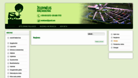 What Zeldynelis.lt website looked like in 2022 (1 year ago)