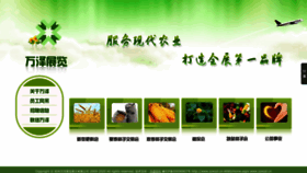 What Zzwzzl.cn website looked like in 2022 (1 year ago)