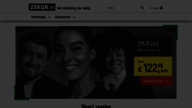 What Zekur.nl website looked like in 2023 (1 year ago)