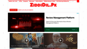 What Ziddidil.pk website looked like in 2023 (This year)