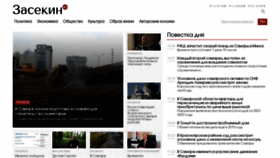 What Zasekin.ru website looked like in 2023 (This year)