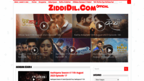 What Ziddi-dil.com website looked like in 2023 (This year)