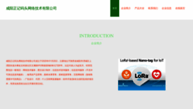 What Zhengjimatou.com website looked like in 2023 (This year)